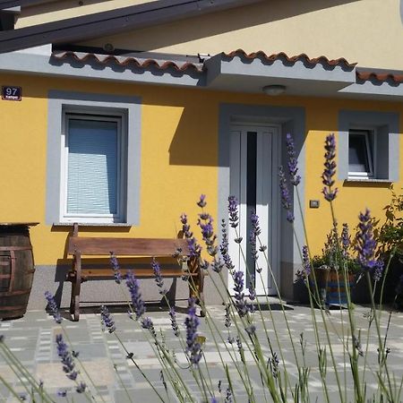 Apartma Brnistra Ginestra Koper Exterior photo
